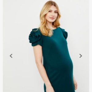 Pietro Brunelli Salisburgo Maternity Dress